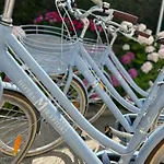 Mirafiori Otel Lido di Jesolo